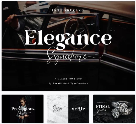 [Elements.Envato] Elegance Signature Font (2021)_0.jpg